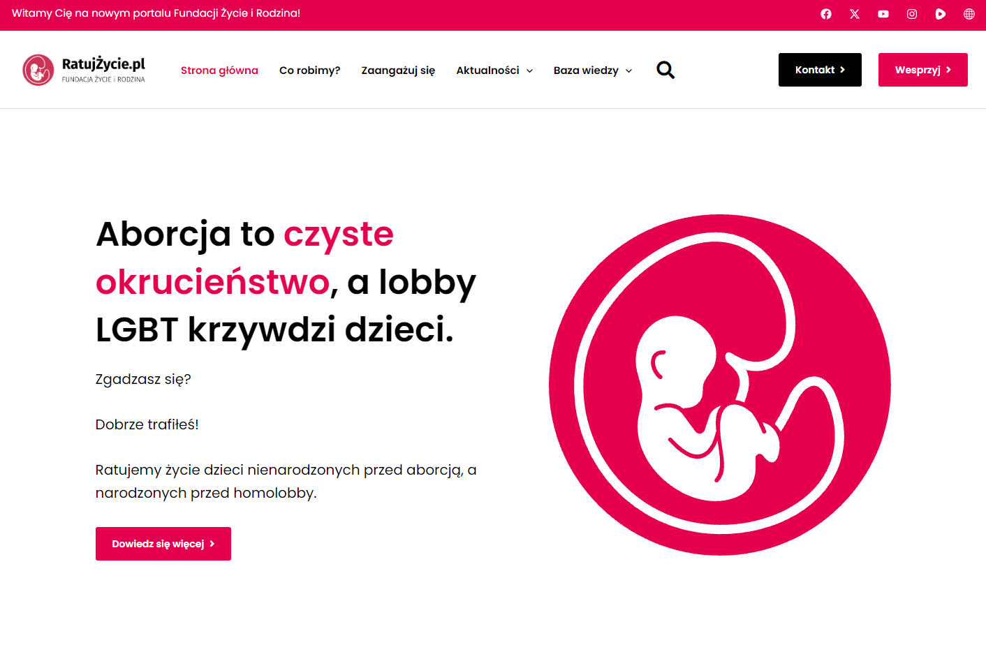 Wsparcie kobiet w sytuacjach kryzysowych - działania i programy realizowane przez fundacje pro-life